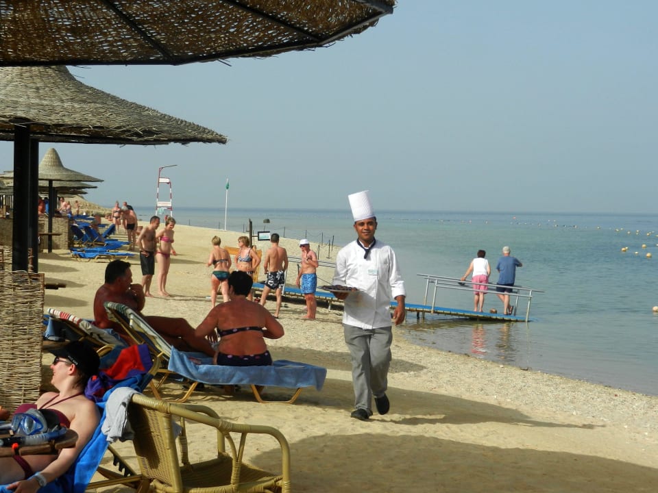 Datteln vom Koch Steigenberger Coraya Beach - Adults only