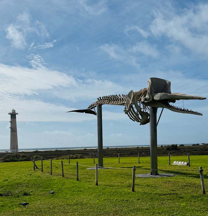 Sport & Freizeit BLUESEA Jandia Luz