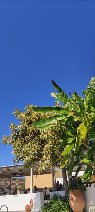 Pool Hotel Xidas Garden