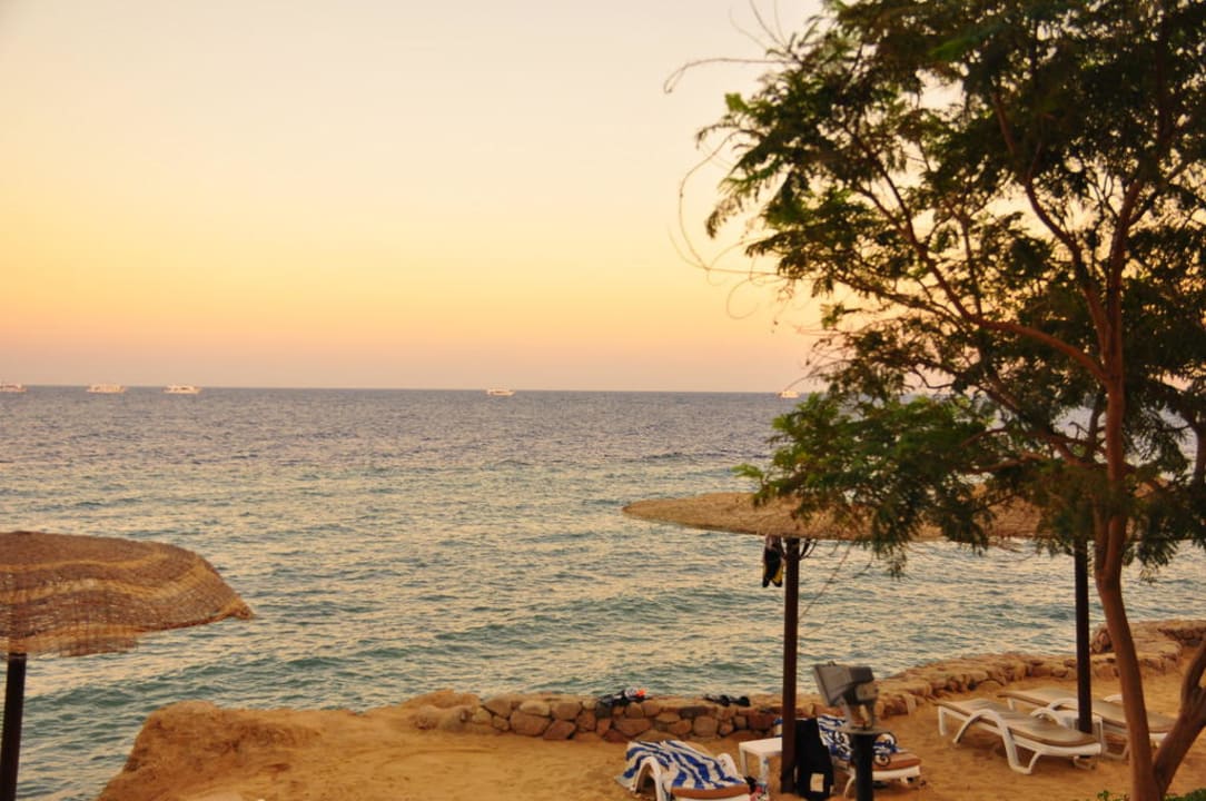 Abendstimmung Pickalbatros Royal Grand Resort - Sharm El Sheikh