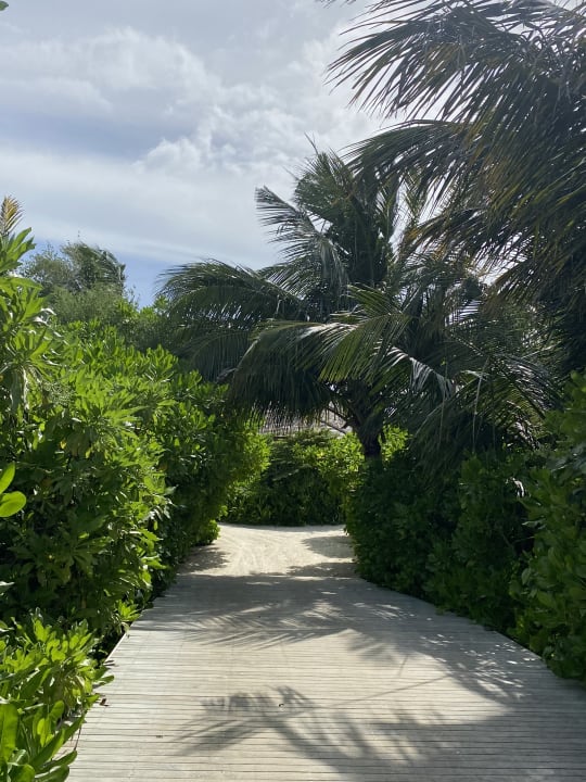 Gartenanlage Cinnamon Hakuraa Huraa Maldives