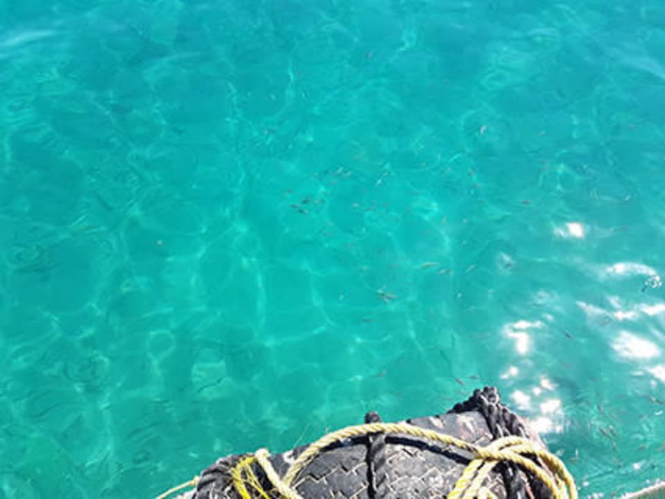 Albatros White Beach  Pickalbatros White Beach Resort - Hurghada