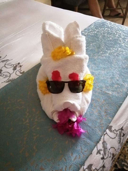 Zimmer Serenity Alpha Beach