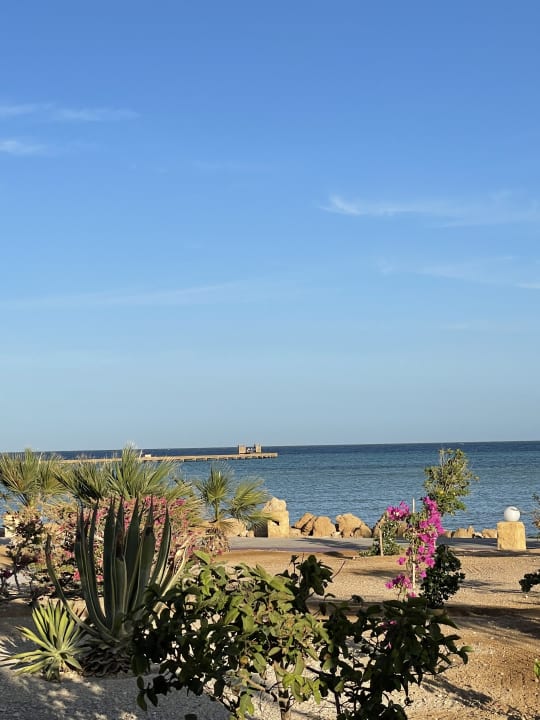 Ausblick Hotel Sheraton Soma Bay Resort