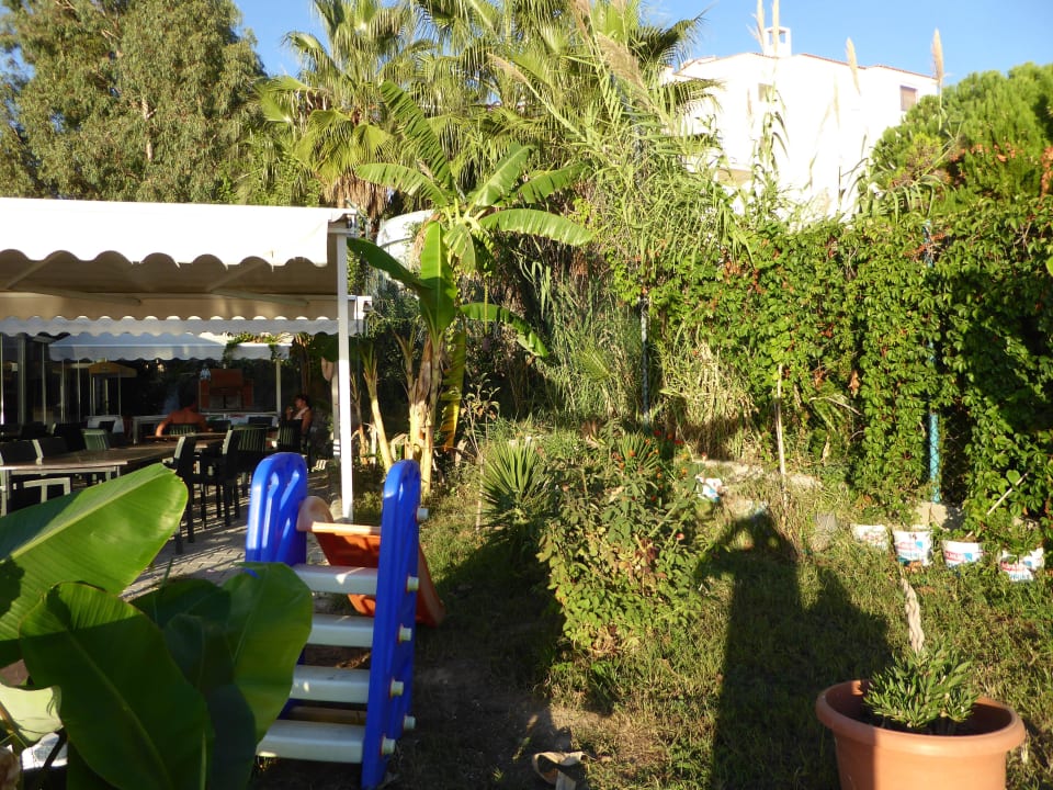 Beachbar Merve Sun Hotel & Spa