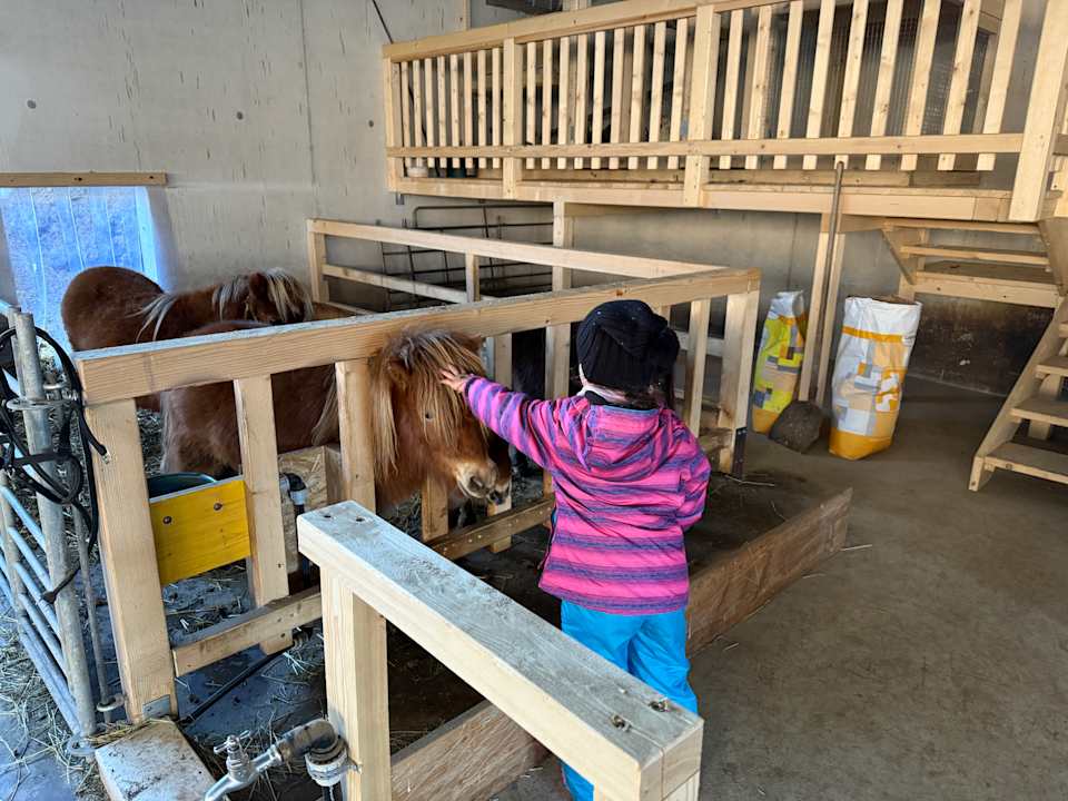 Sonstiges Hotel Lammwirt