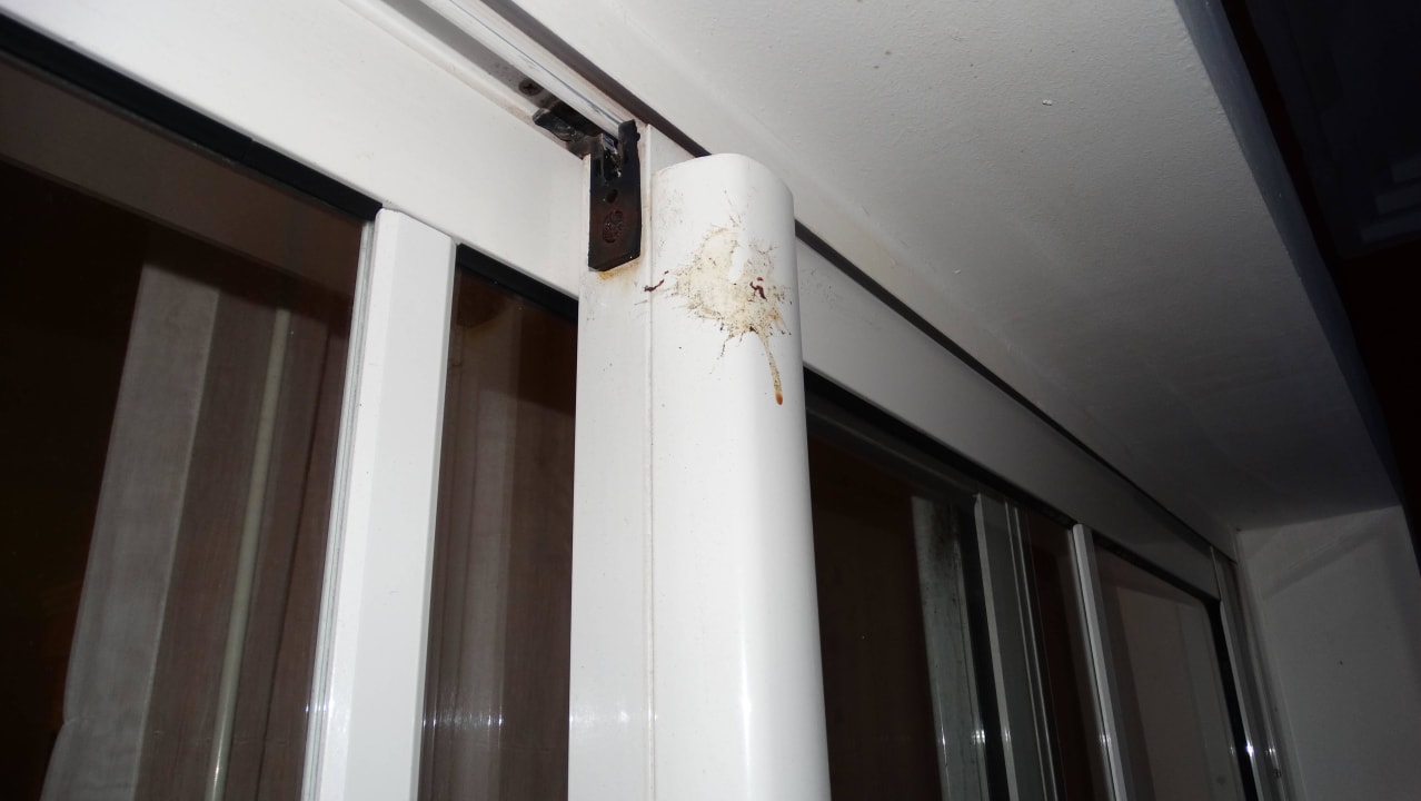 Vogeldreck 3 Tage lang Marien Puerto Plata