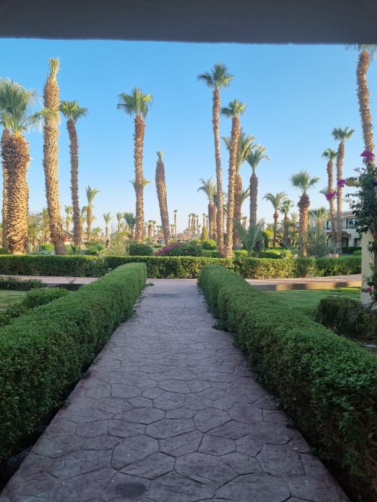 Gartenanlage Lotus Bay Beach Resort