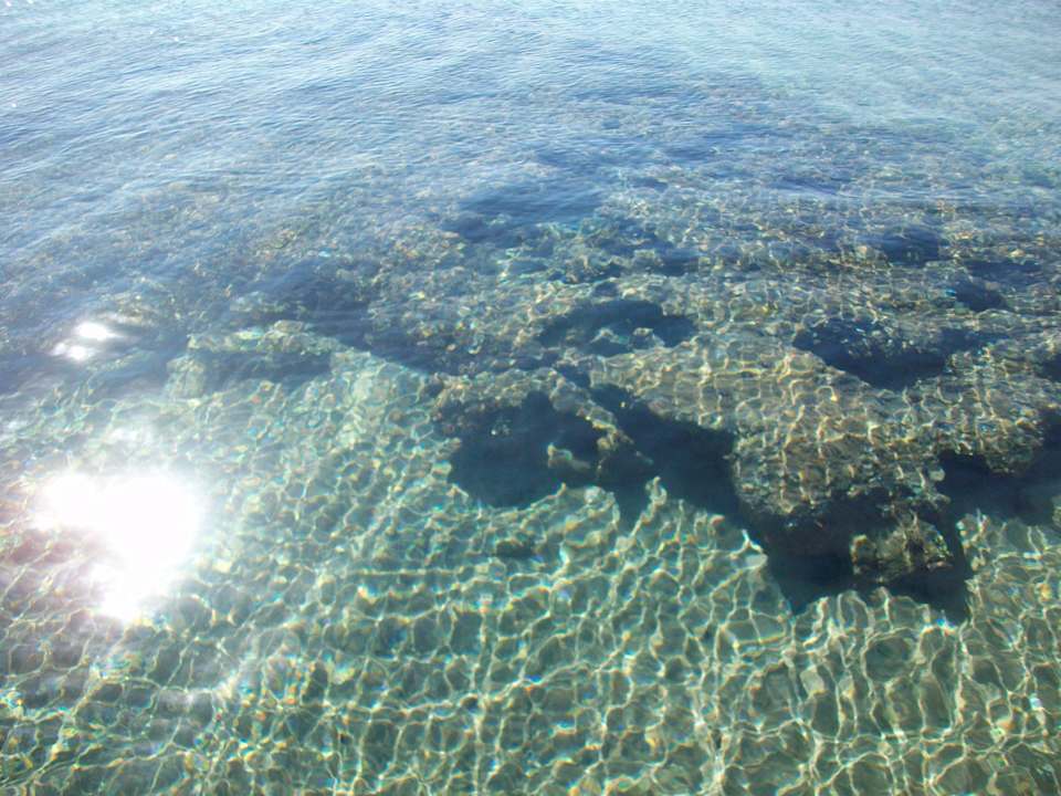 Steg Pickalbatros Palace Resort