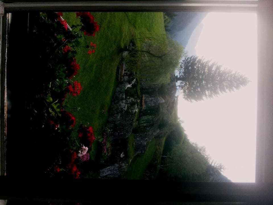 Ausblick aus dem Zimmerfenster Gasthaus Pension Schön