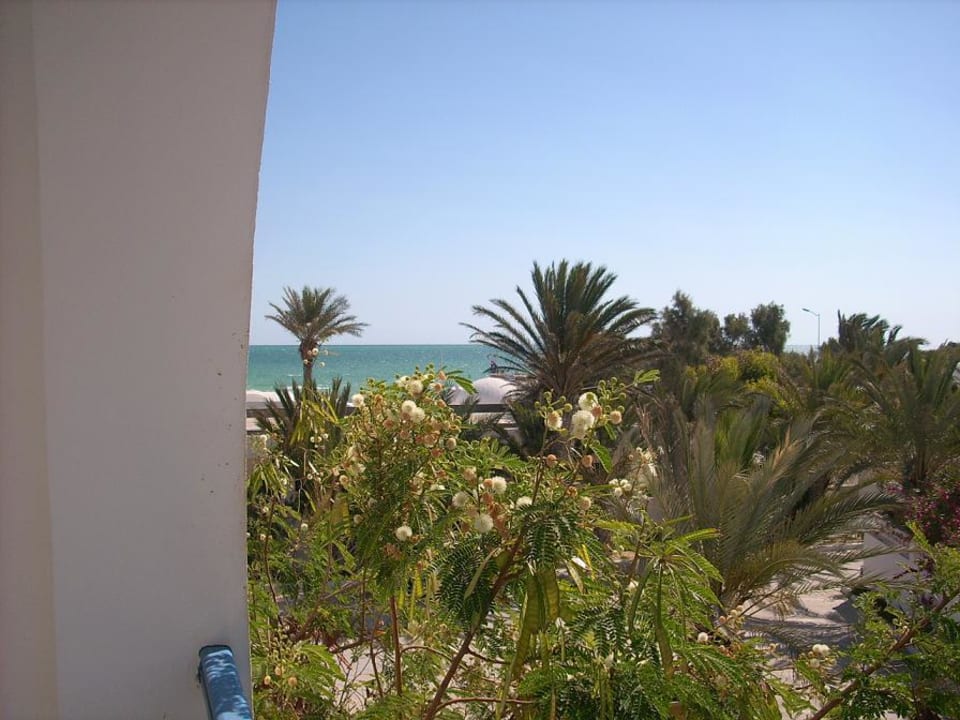 Zimmeraussicht Hotel Dar Salem