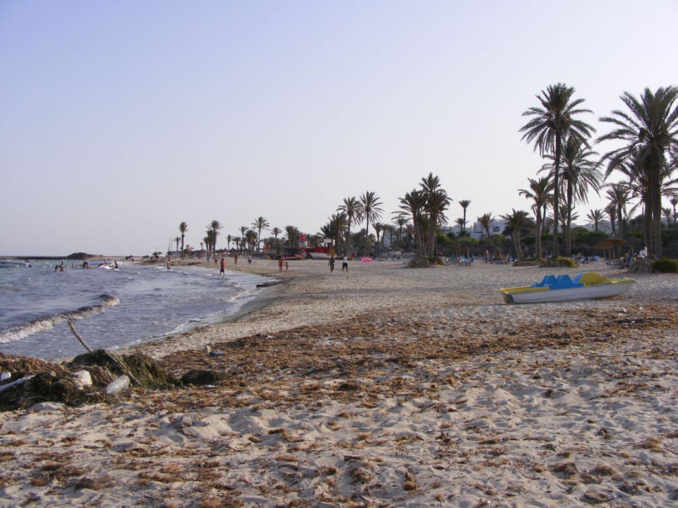 Strand nach Seegrassattacke Djerba Castille