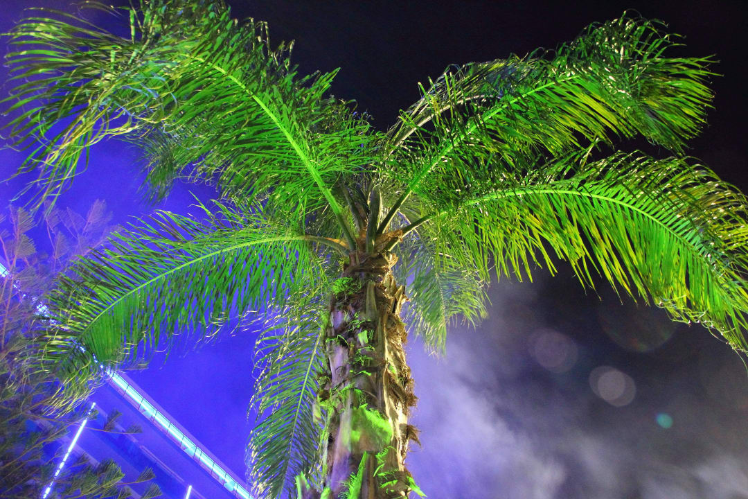 Schön beleuchtet Hotel Calypso Beach