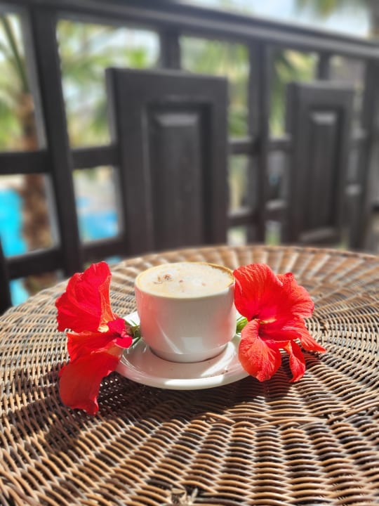 Gastro Hotel Paradis Palace