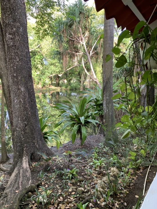 Gartenanlage Viva Heavens by Wyndham - All Inclusive Resort