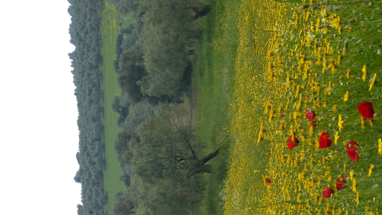 Krajina Possidi Holidays Resort & Suite Hotel