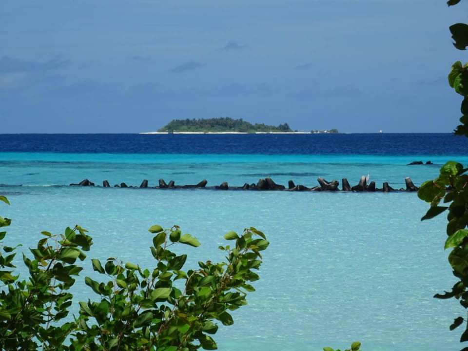 Strand Summer Island Maldives