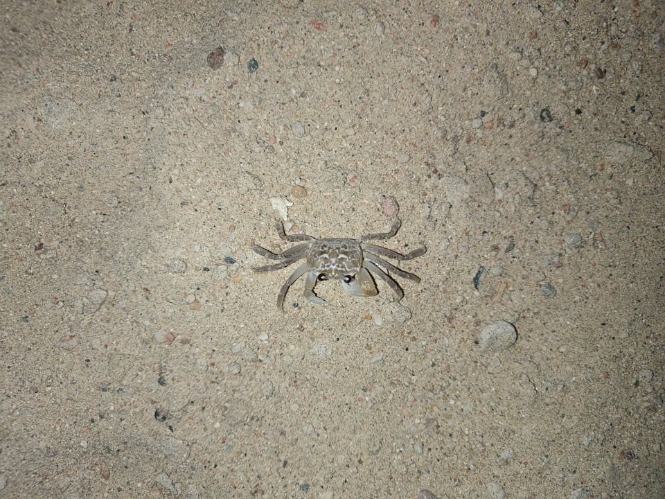 Sonstiges Casa Mare Resort