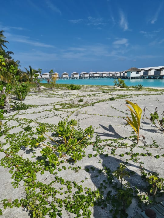 Außenansicht Cinnamon Hakuraa Huraa Maldives