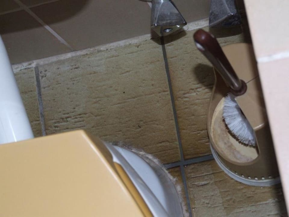 WC unter Wasser Sonnenmatte-Titisee B+B Hotel Guesthouse