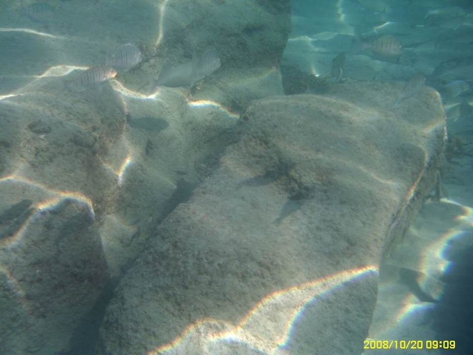 Meer Club Turtas Beach Hotel