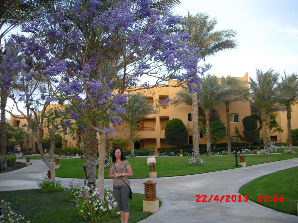 Wunderschöne gepflegte Anlage Stella Beach Resort & Spa Makadi Bay