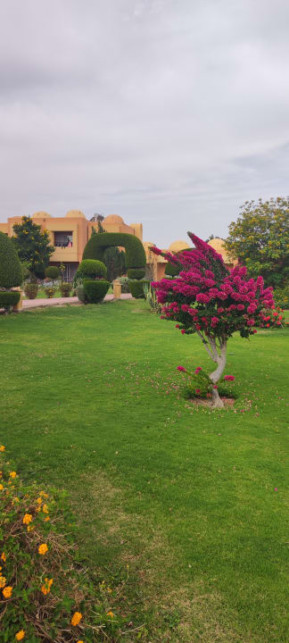 Gartenanlage Wadi Lahmy Azur Resort