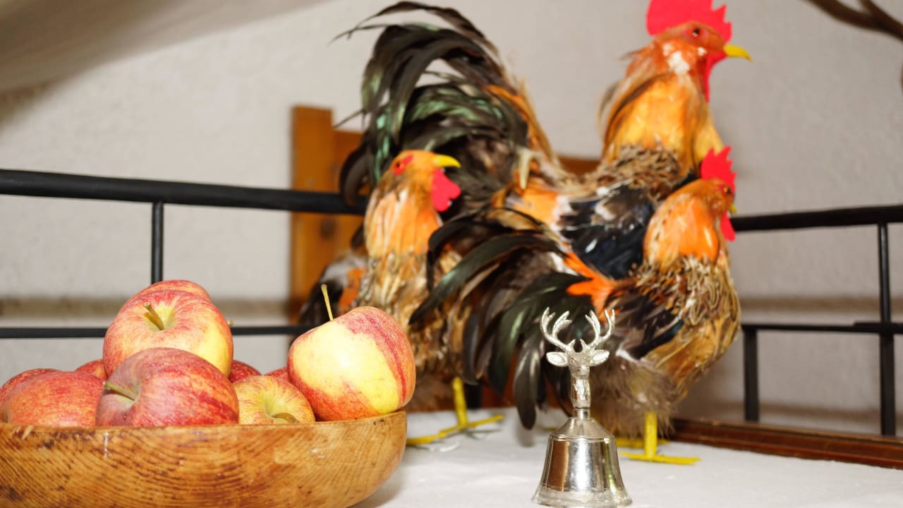 Willkommen im Bergwald in Alpbach bei den Moser`s  Bergwald-Appartements -Alpbach