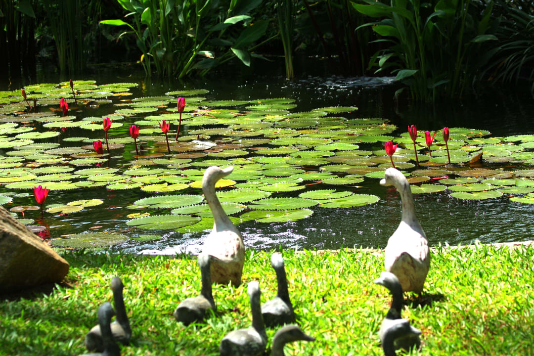 Am Lotusblütenteich Bo Phut Resort & Spa