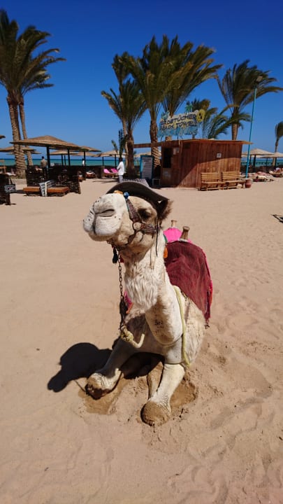 Sport & Freizeit Golden Beach Resort