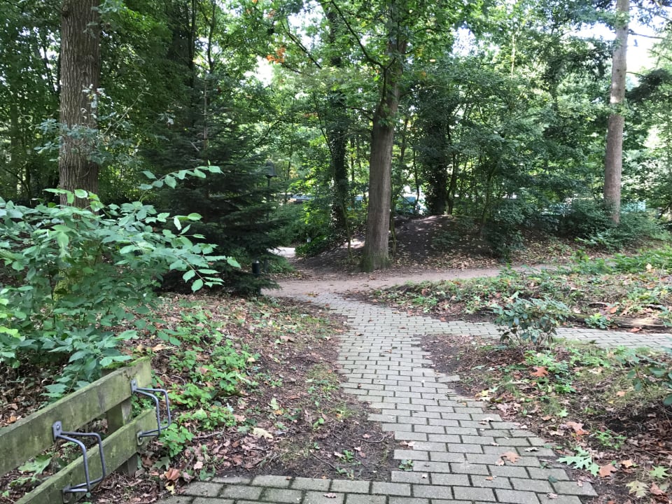 Außenansicht Center Parcs Het Heijderbos