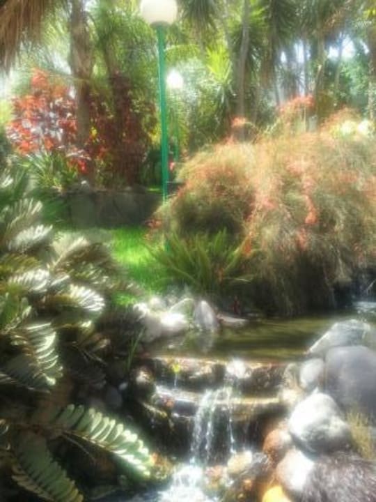 WoW-Effekt allsun Hotel Lucana