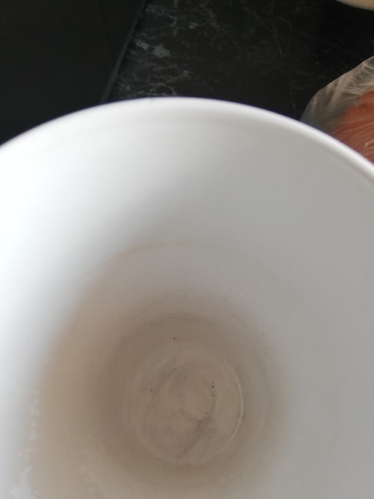 Zimmer Maple Tree Budget Apartments