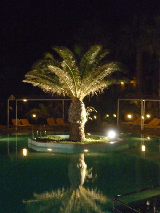 Palme am Pool bei Nacht Porto Bello Beach