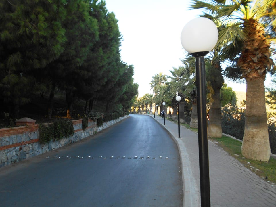 Ausblick Hotel Pine Bay Holiday Resort