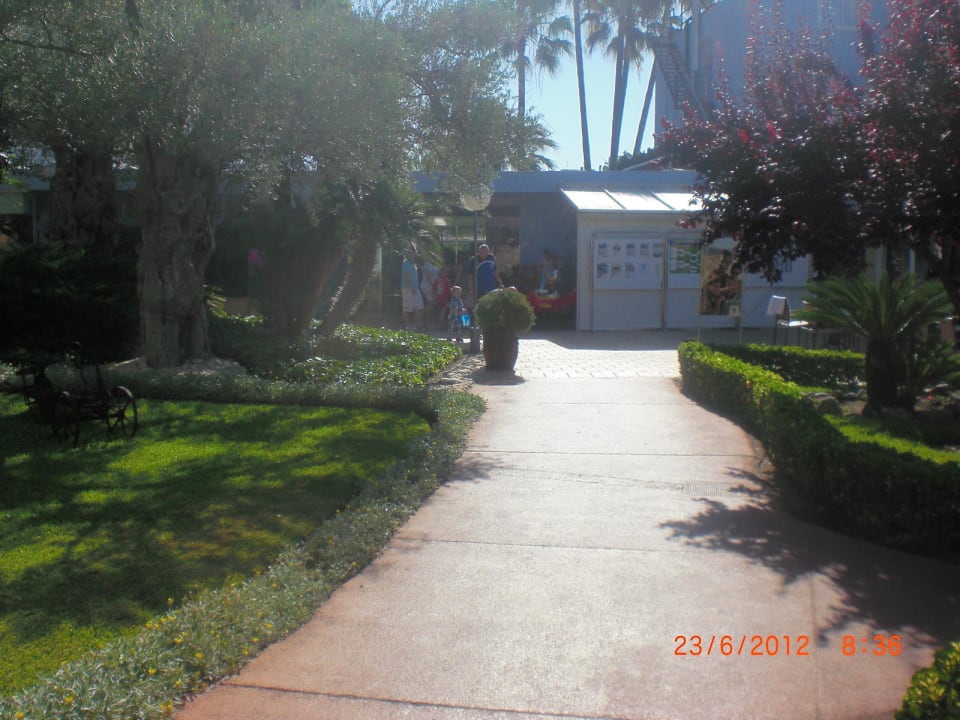 Blick Richtung Rezeption Alcudia Garden Aparthotel