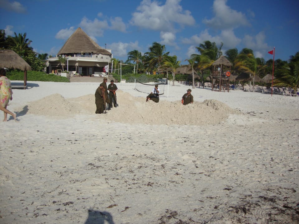 Überall wurde gebuddelt Catalonia Playa Maroma