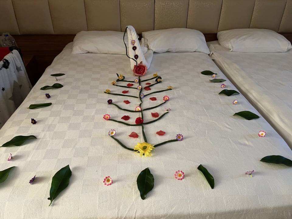 Zimmer Oz Hotels Incekum Beach