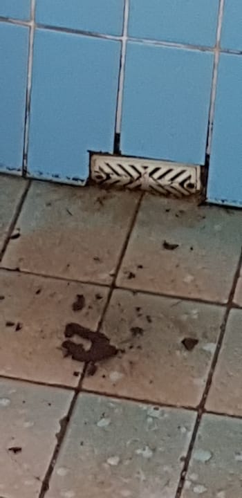 Pool Royal Star Beach Resort