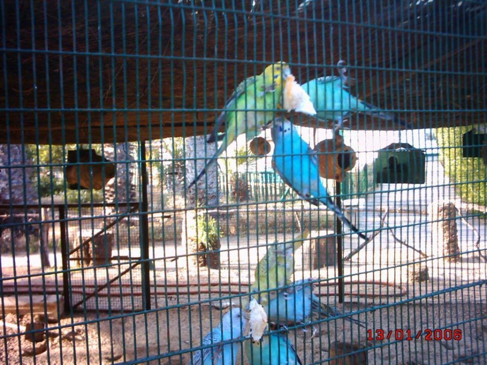 Minizoo Hotel Sangho Club Zarzis