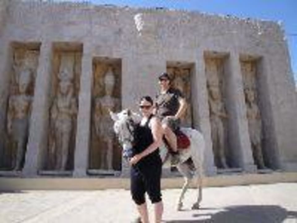 In der Arena am Reiten Pickalbatros Alf Leila Wa Leila Resort - Neverland Hurghada