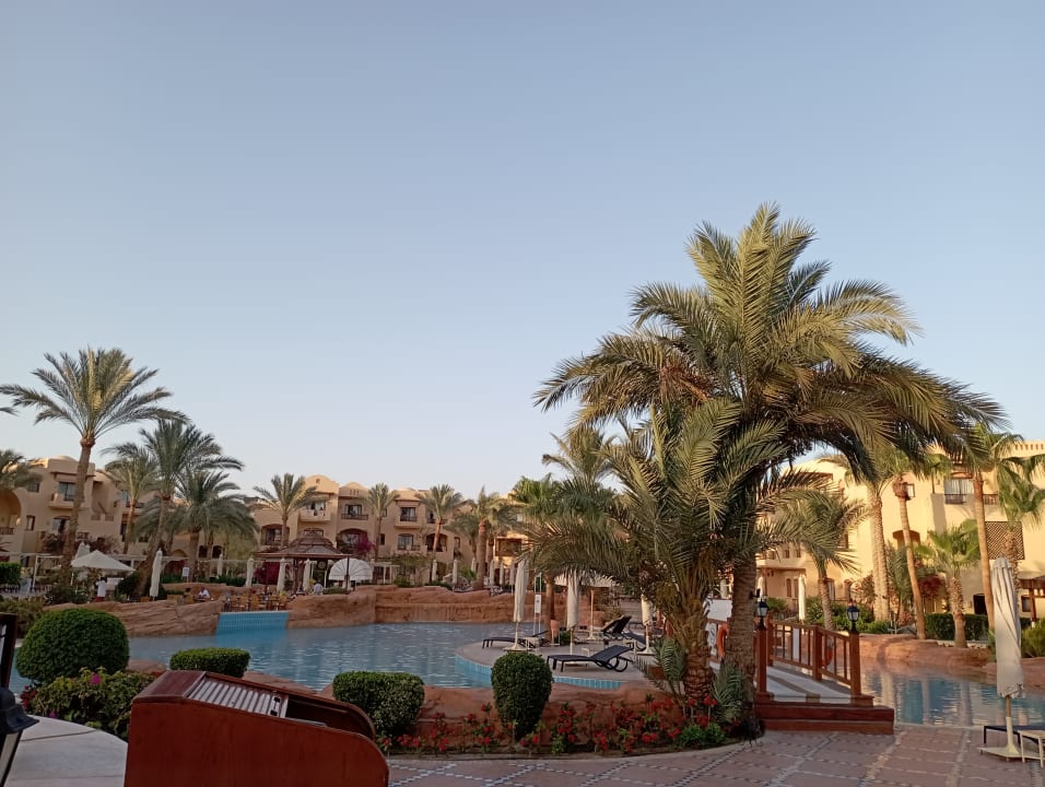 Pool Steigenberger Coraya Beach - Adults only