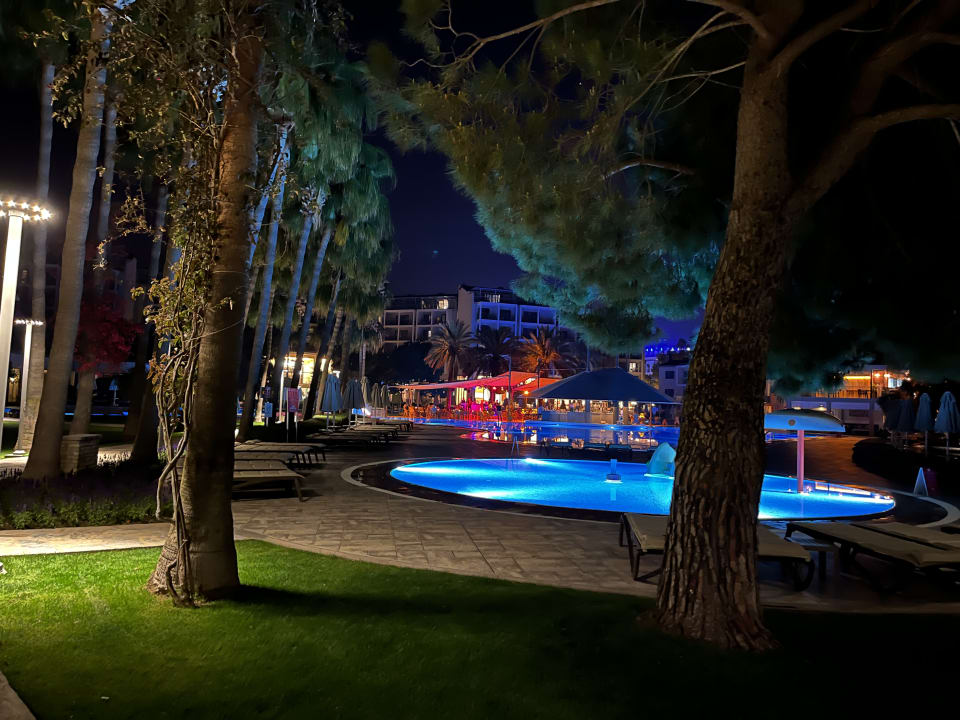 Pool Arum Barut Collection