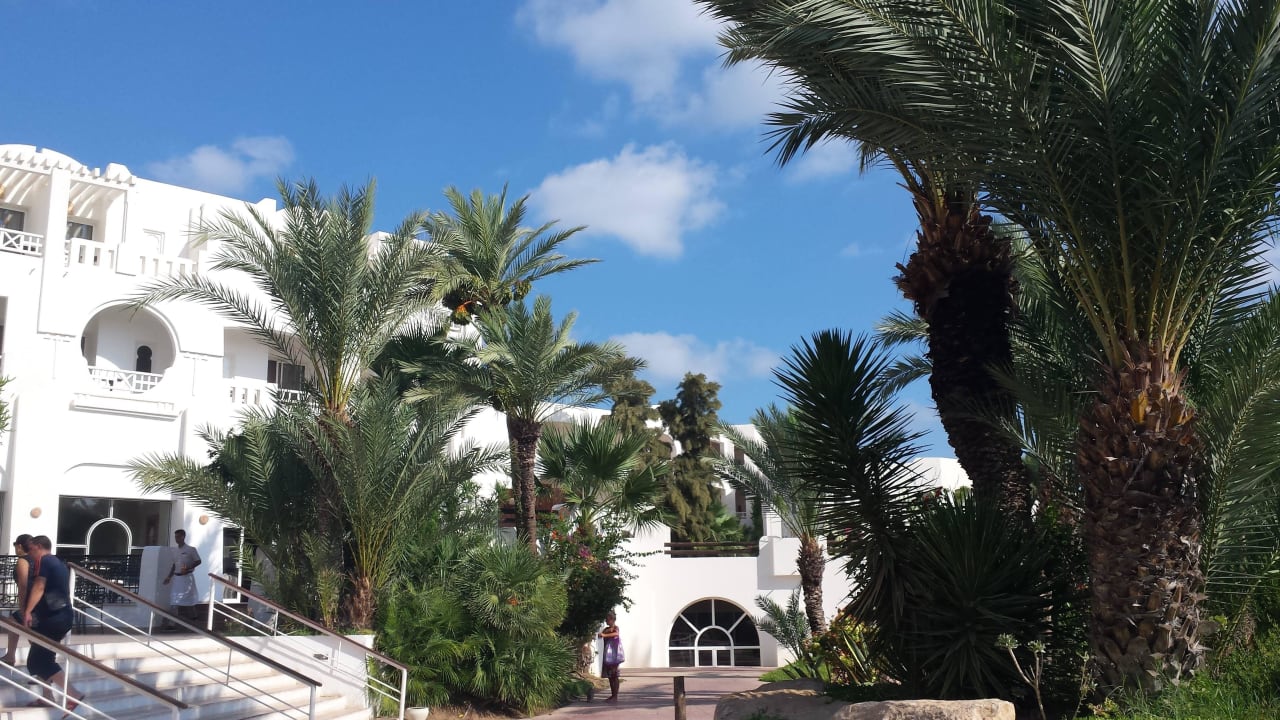 Blick vom pool Hotel Djerba Resort