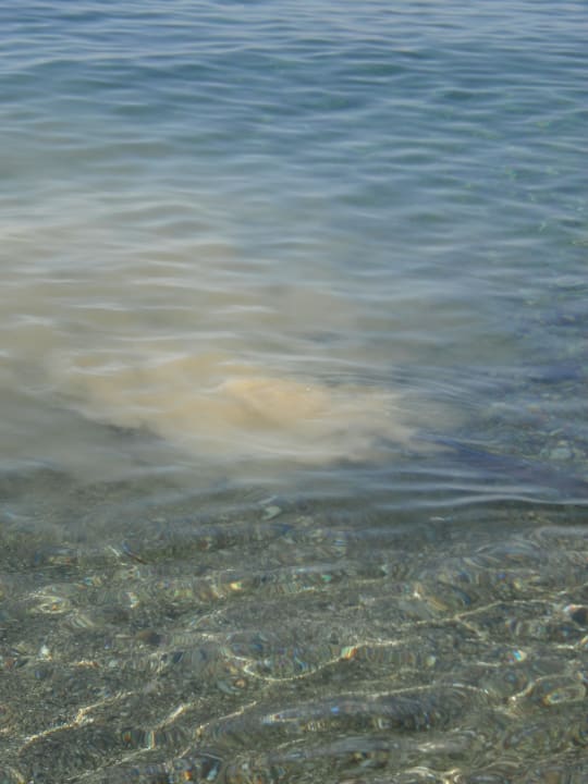 Vypouštění fekálií u pláže do moře Mitsis Norida