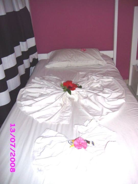 Blütenzauber der Putzfrau Hawai Beach Club