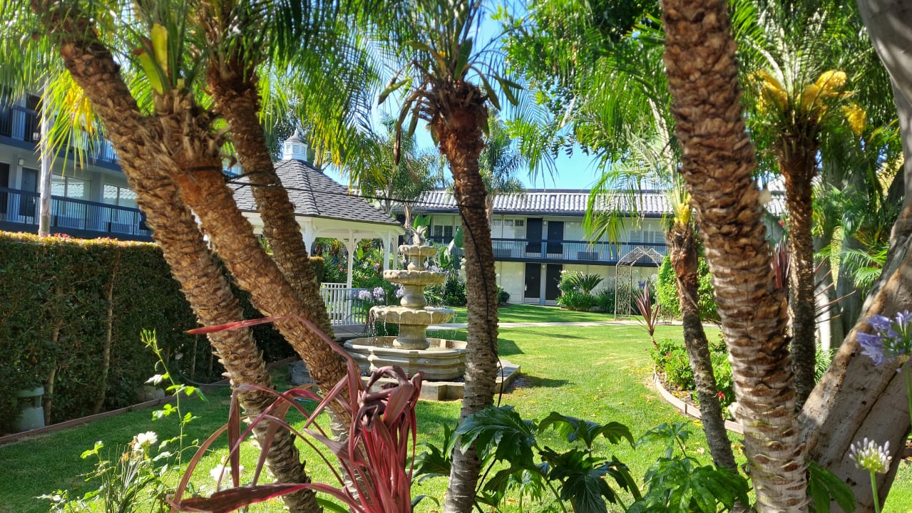 Gartenanlage Palm Garden Hotel