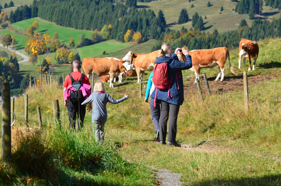Sport & Freizeit Hotel Landgasthof Bergblick