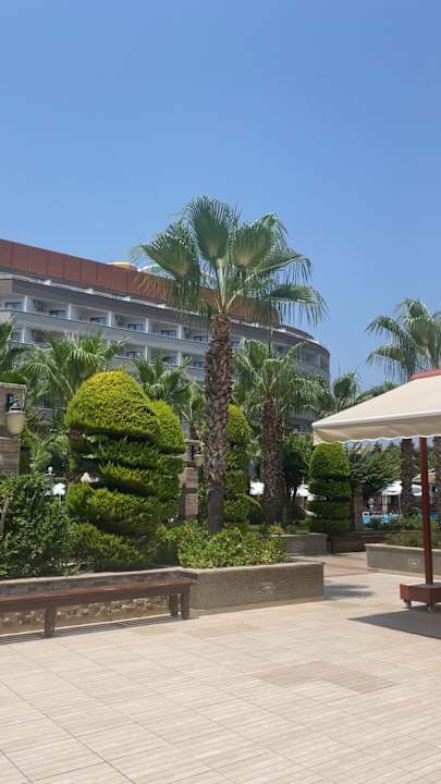 Pool Dizalya Palm Garden