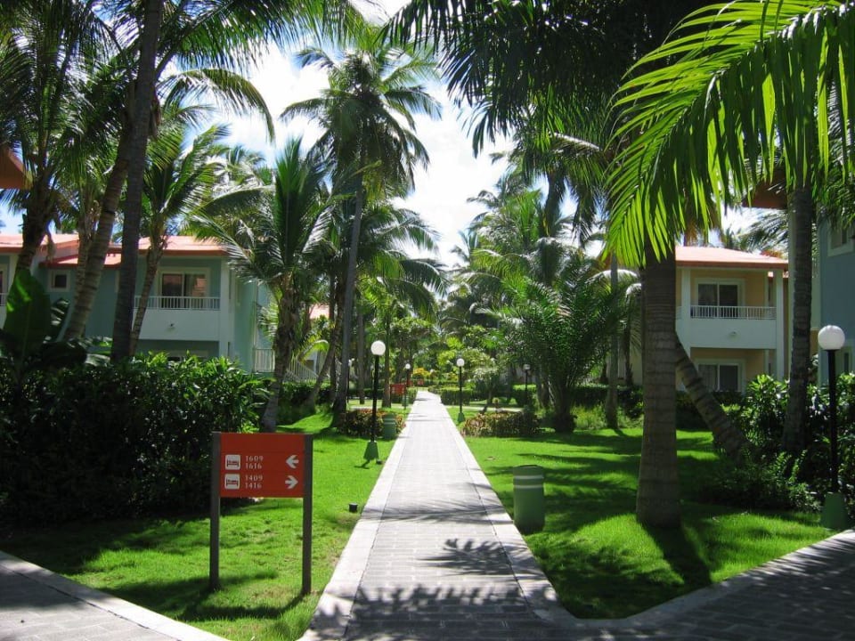 Bungalows Hotel Riu Bambu